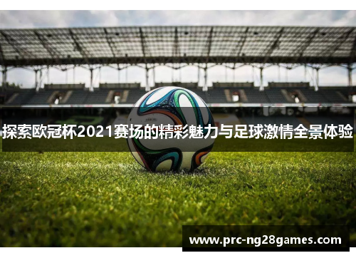 探索欧冠杯2021赛场的精彩魅力与足球激情全景体验